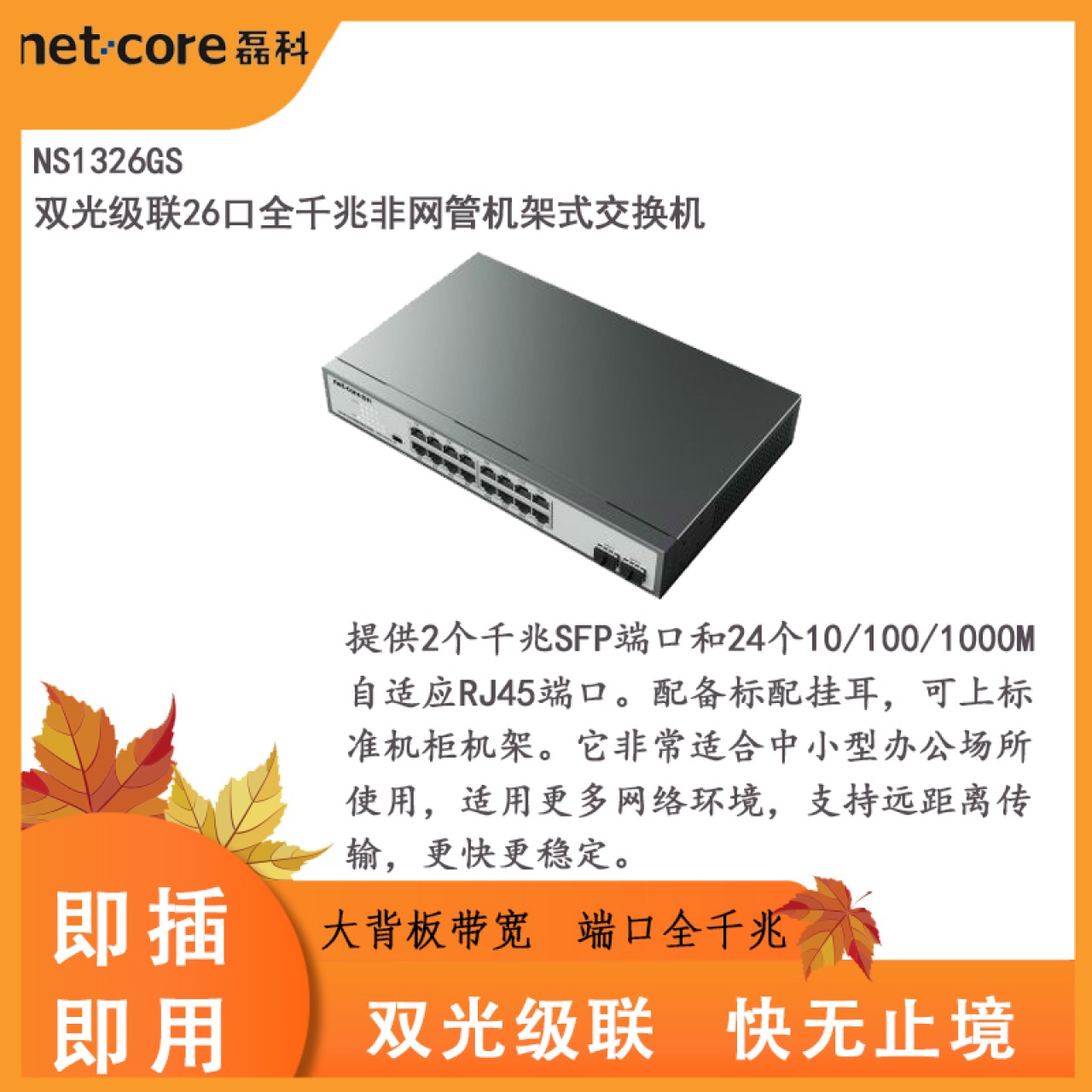 双光级联交换机NS1326GS